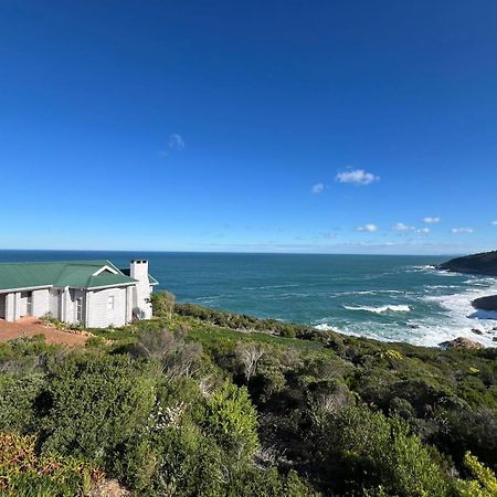 Blue Whale Resort George Exterior foto