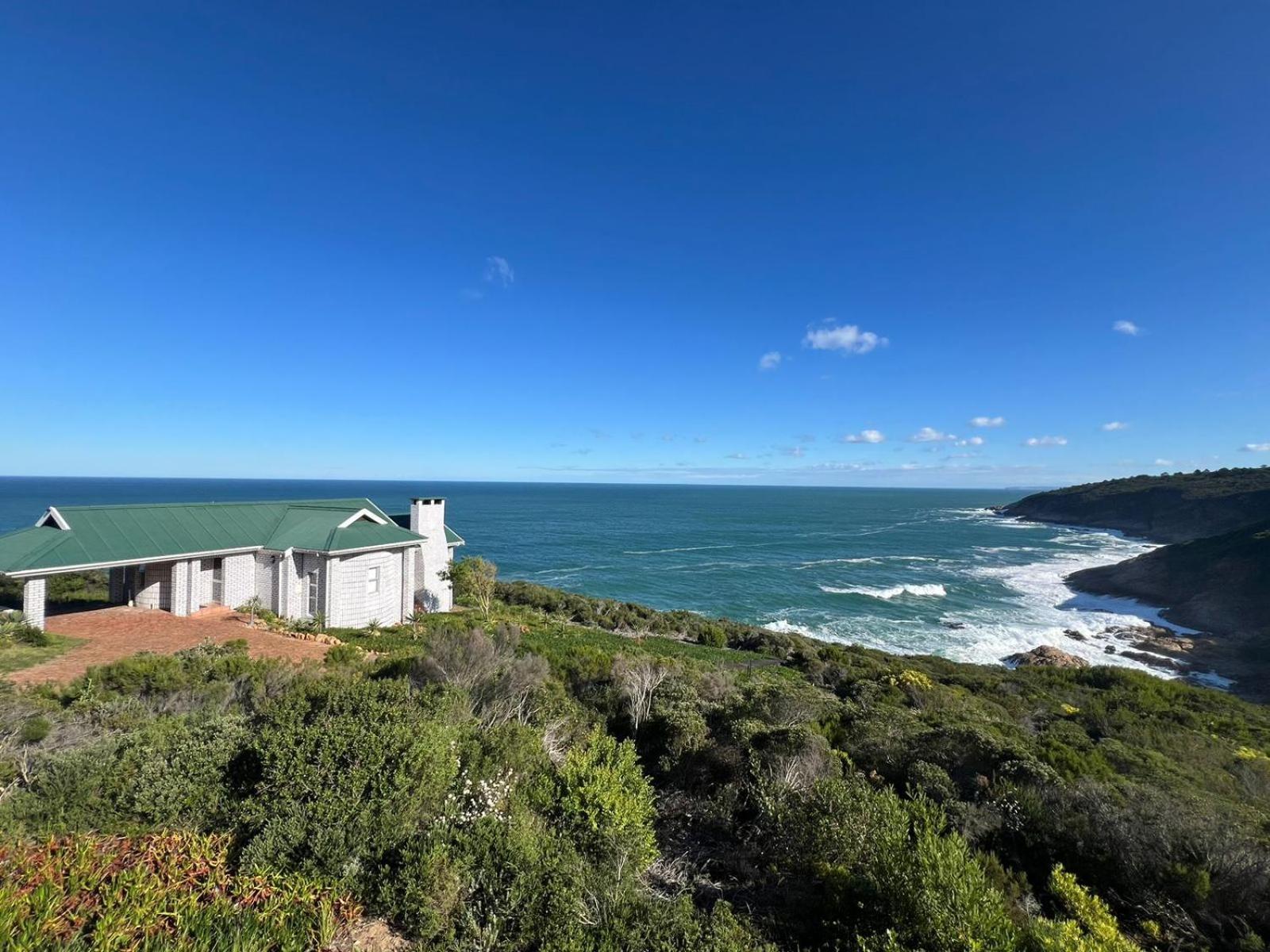 Blue Whale Resort George Exterior foto